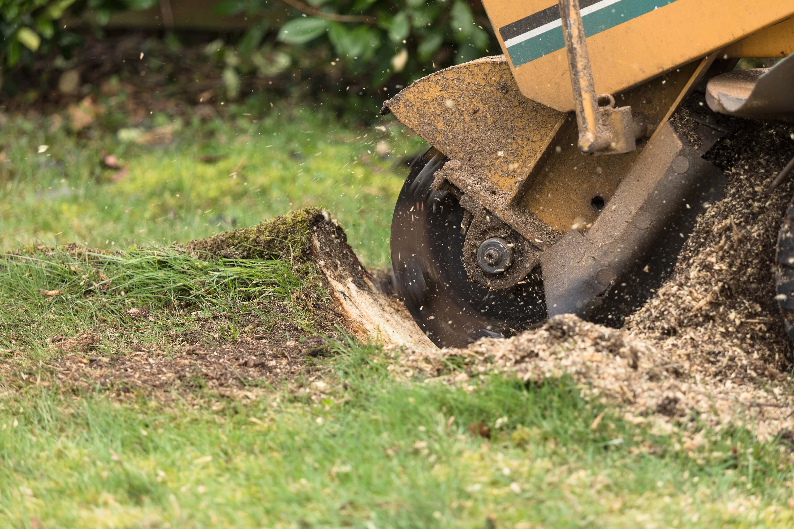 Removals and Stump Grinding